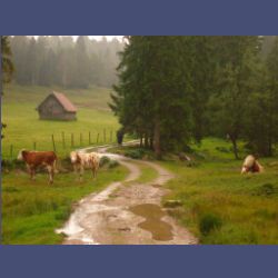 2012-08-25_Regina-F-Rau_Staffelgraben (098).JPG